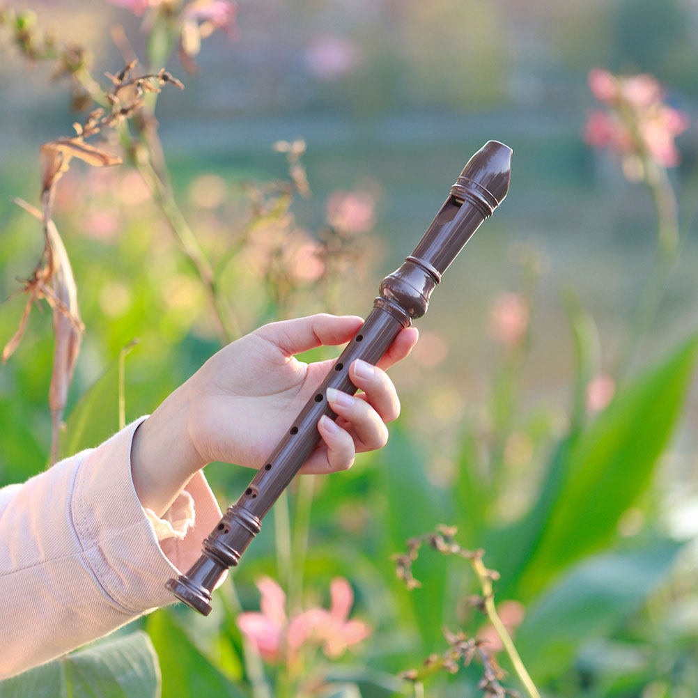 8孔のソプラノリコーダー。プラスチック製で、プロ仕様。伝統的 - Soprano Recorder Plastic のレビューと価格